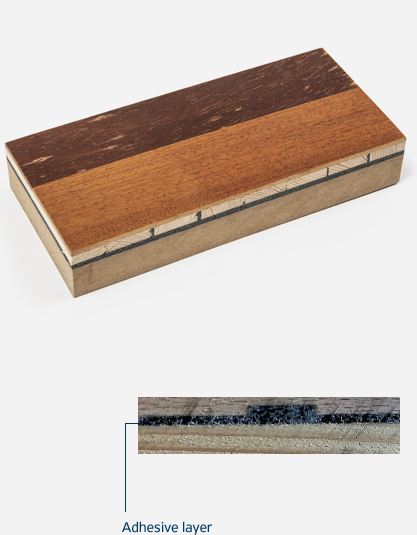 Case Study Markets Applications Building Construction